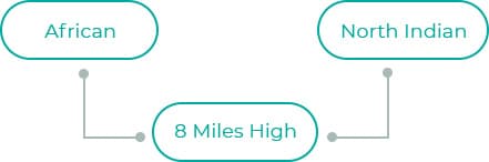 8-Miles-High-dia