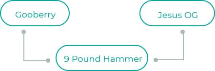 9-Pound-Hammer-1