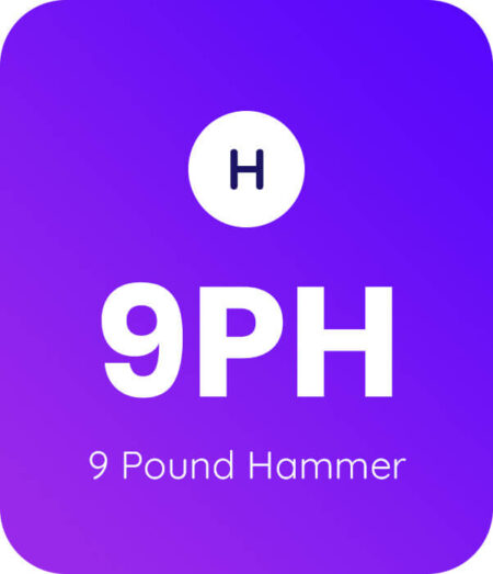 9 Pound Hammer Product