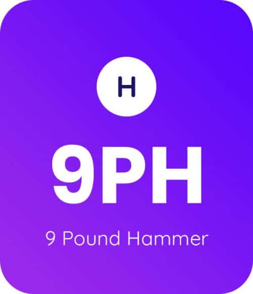 9-Pound-Hammer-product