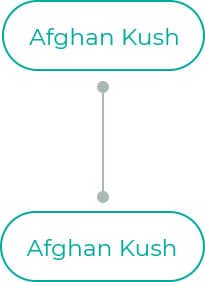Afghan-Kush-dia-1