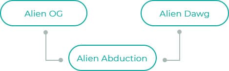 Alien-Abduction-dia