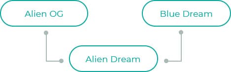 Alien-Dream-dia