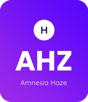 Amnesia-Haze