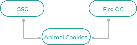Animal-Cookies-1