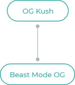Beast-Mode-OG-dia