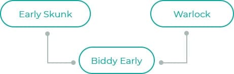 Biddy-Early-dia
