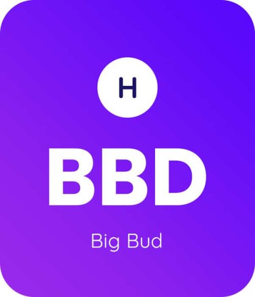 Big-Bud