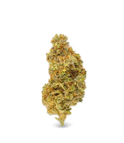 BIG-BUDS-REVISIONS-4-of-14-CANNATONIC