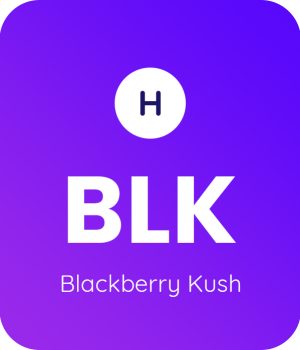 Blackberry-Kush