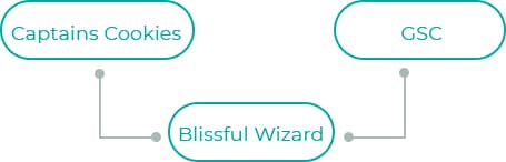 Blissful-Wizard
