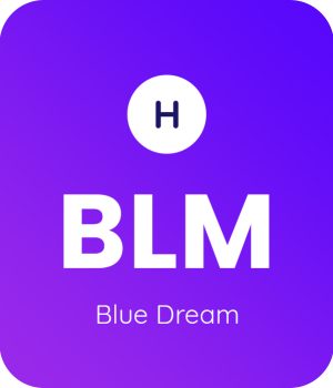 Blue-Dream-1