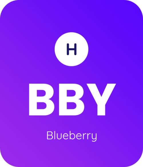 Blueberry-3