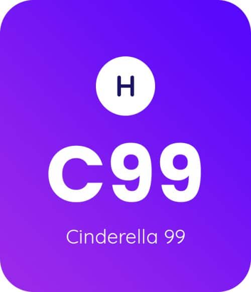 Cinderella 99