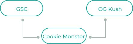 Cookie-Monster