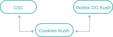 Cookies-Kush-1