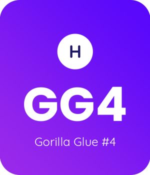 Gorilla-Glue-4-1