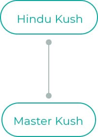 Hindu-Kush-2