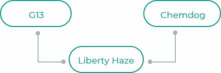 Liberty-Haze