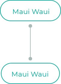 Maui-Waui-1