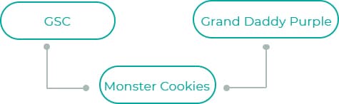 Monster-Cookies-1