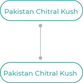 Pakistan-Chitral-Kush-1