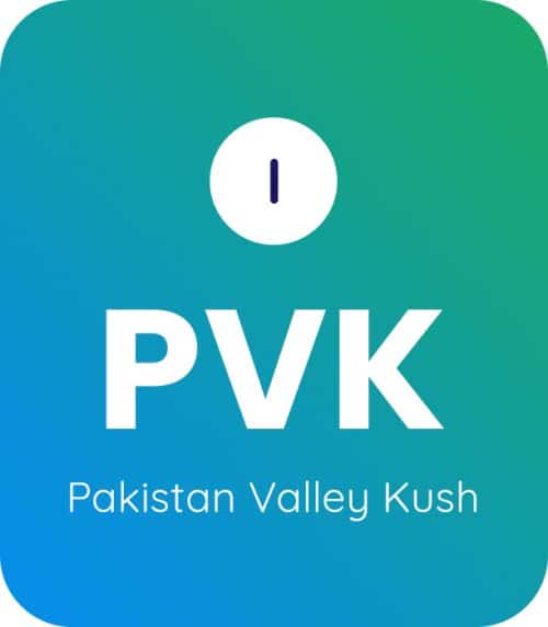 Pakistan Valley Kush