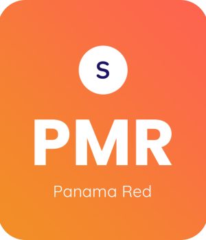 Panama-Red-1