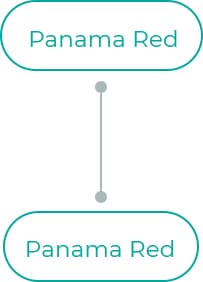 Panama-Red