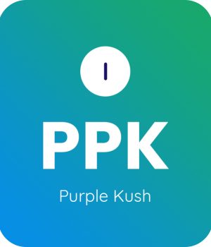 Purple-Kush