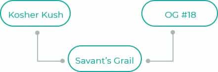 Savants-Grail