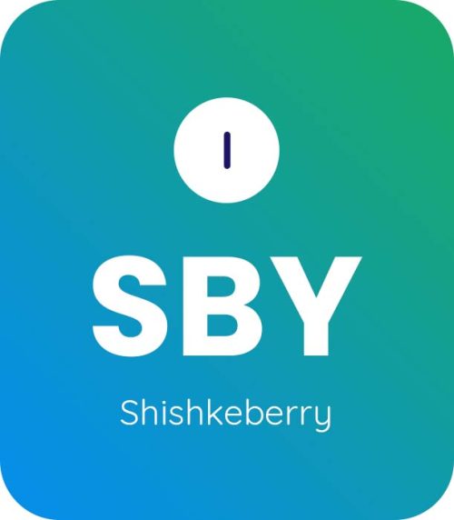 Shishkeberry