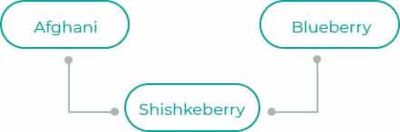 Shishkeberry