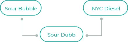 Sour-Bubble
