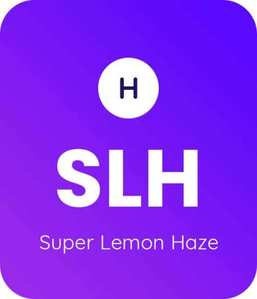 Super-Lemon-Haze