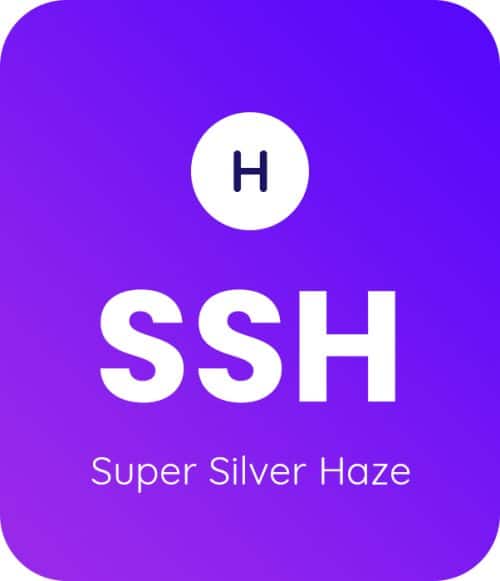 Super-Silver-Haze-1