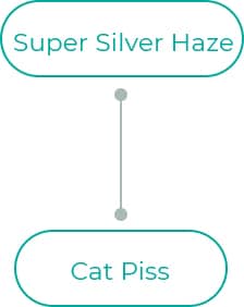 Super-Silver-Haze