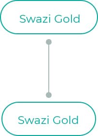 Swazi-Gold-1