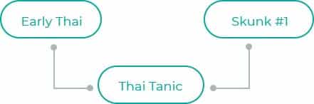 Thai-Tanic-1
