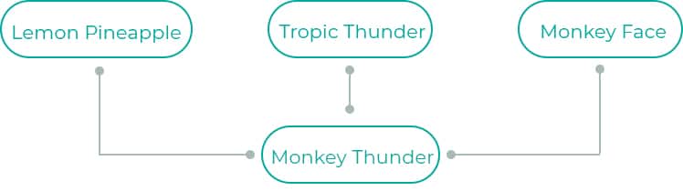 Tropic-Thunder
