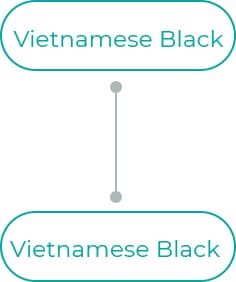 Vietnamese-Black-1
