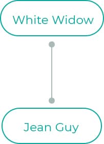 White-Widow