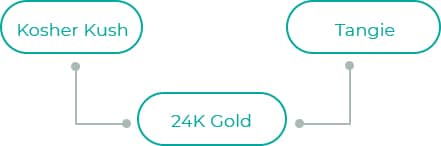 24K-Gold