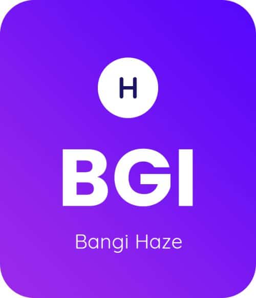 Bangi-Haze-1