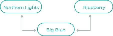 Big-Blue-1