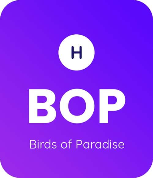 Birds-of-Paradise-1