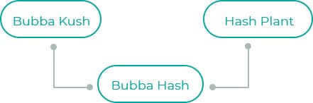 Bubba-Hash-1