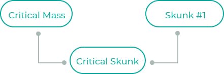 Critical-Skunk