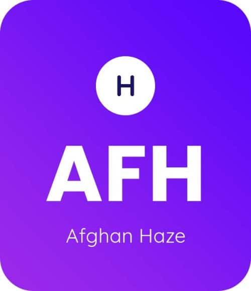 Afghan-Haze-1
