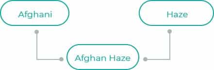 Afghan-Haze